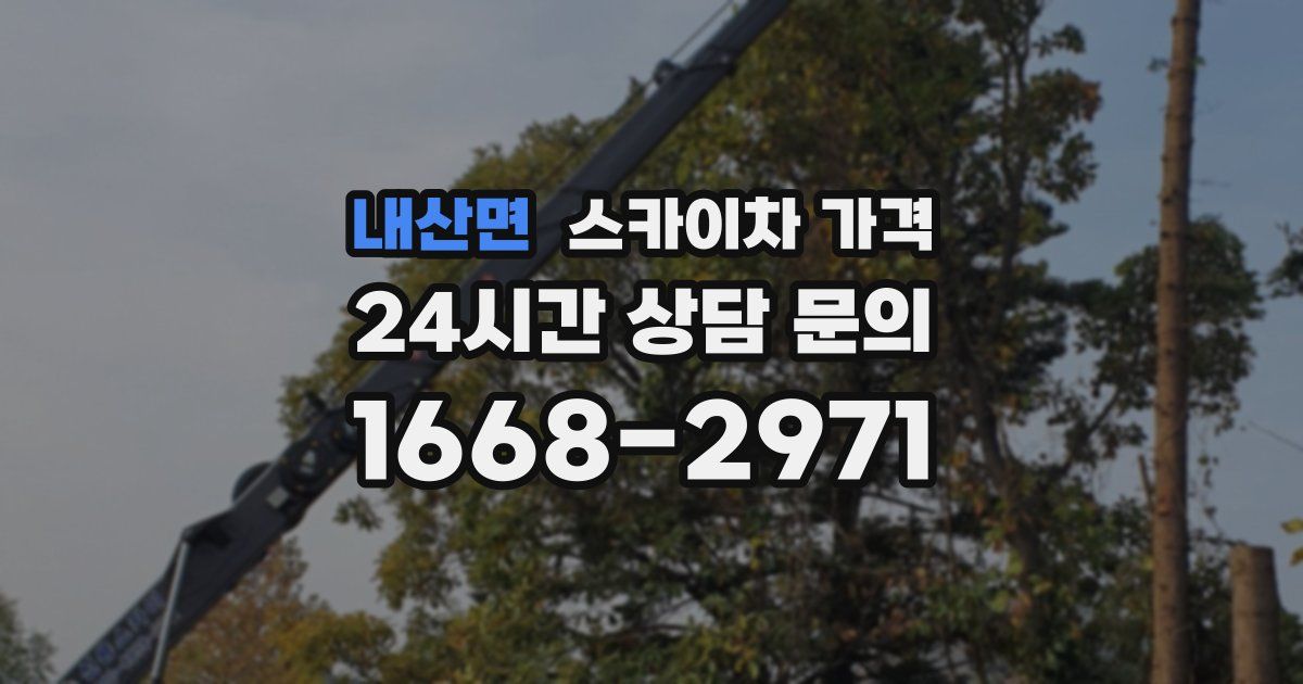 내산면 스카이차 가격
