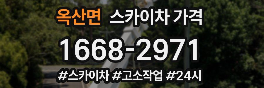 옥산면 스카이차 가격