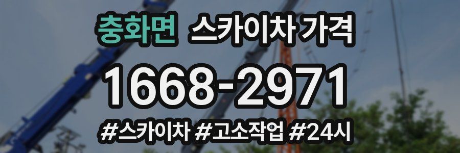 충화면 스카이차 가격