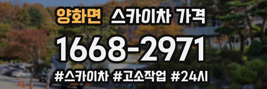 양화면 스카이차 가격