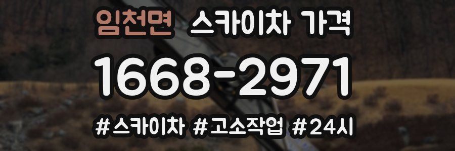 임천면 스카이차 가격