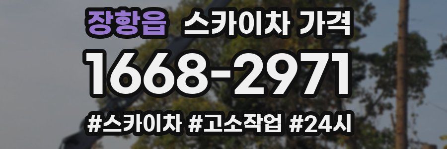 장항읍 스카이차 가격