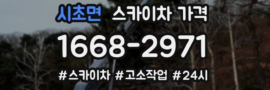 시초면 스카이차 가격