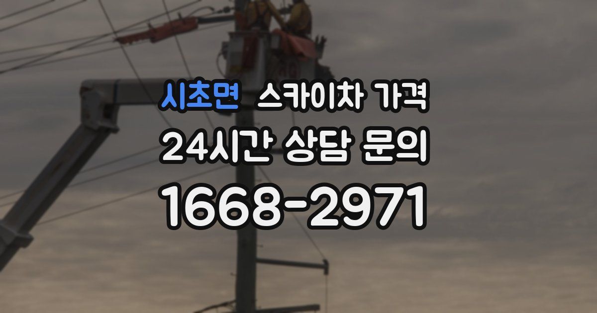 시초면 스카이차 가격