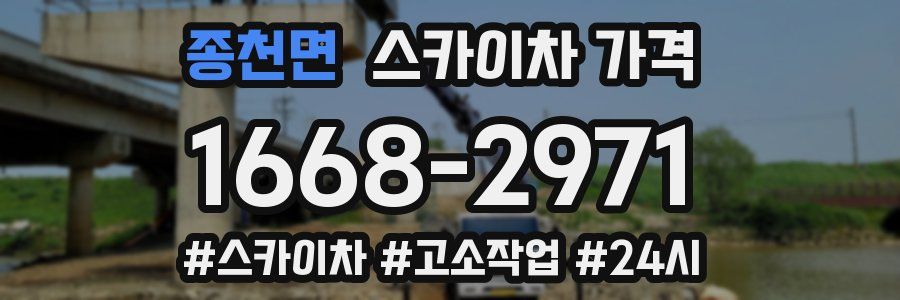 종천면 스카이차 가격