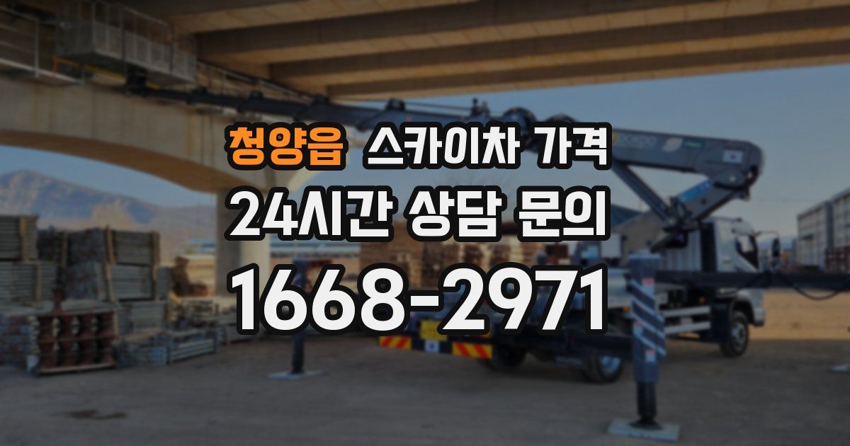 청양읍 스카이차 가격