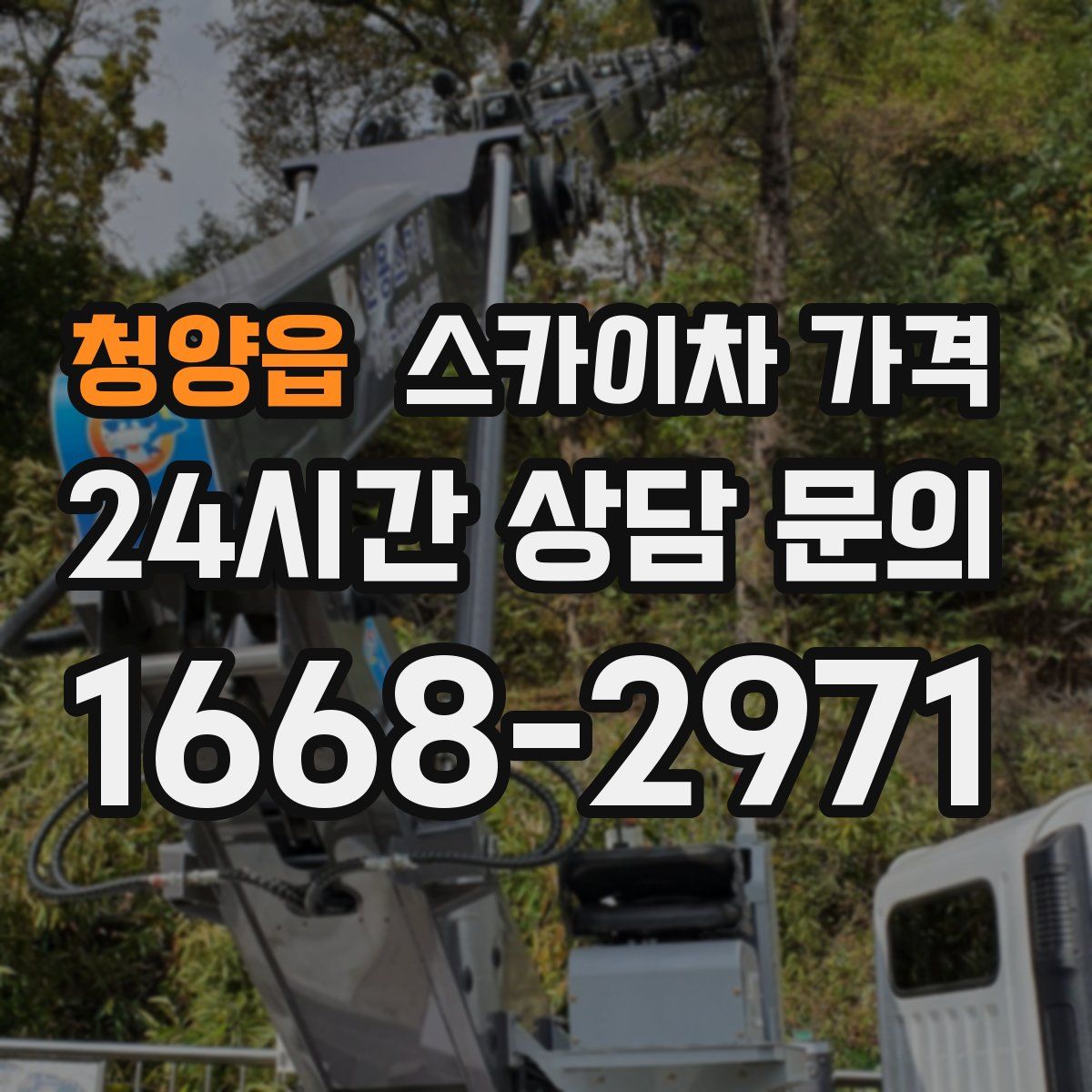 청양읍 스카이차 가격