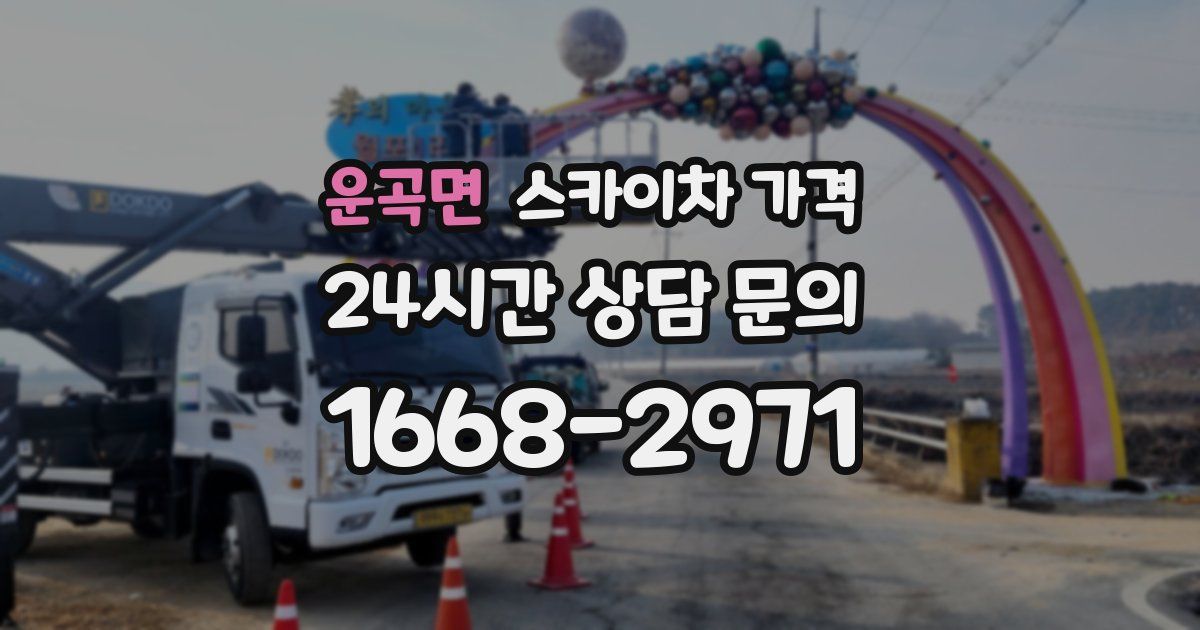 운곡면 스카이차 가격