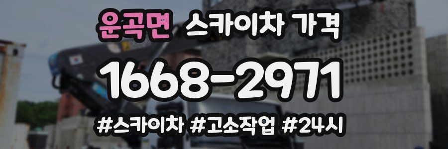 운곡면 스카이차 가격