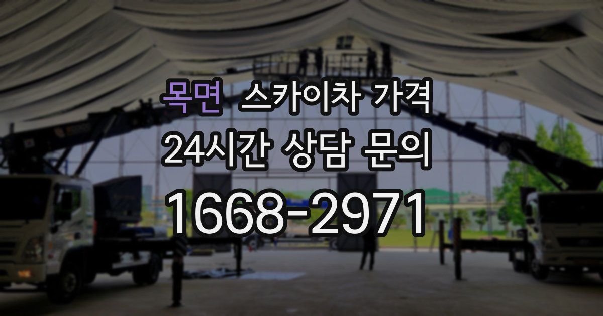 목면 스카이차 가격