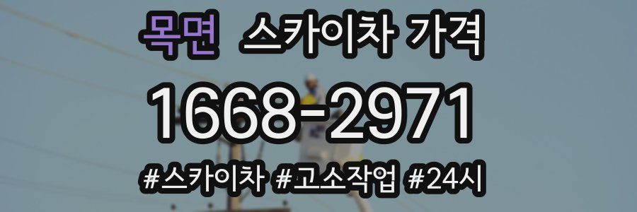 목면 스카이차 가격