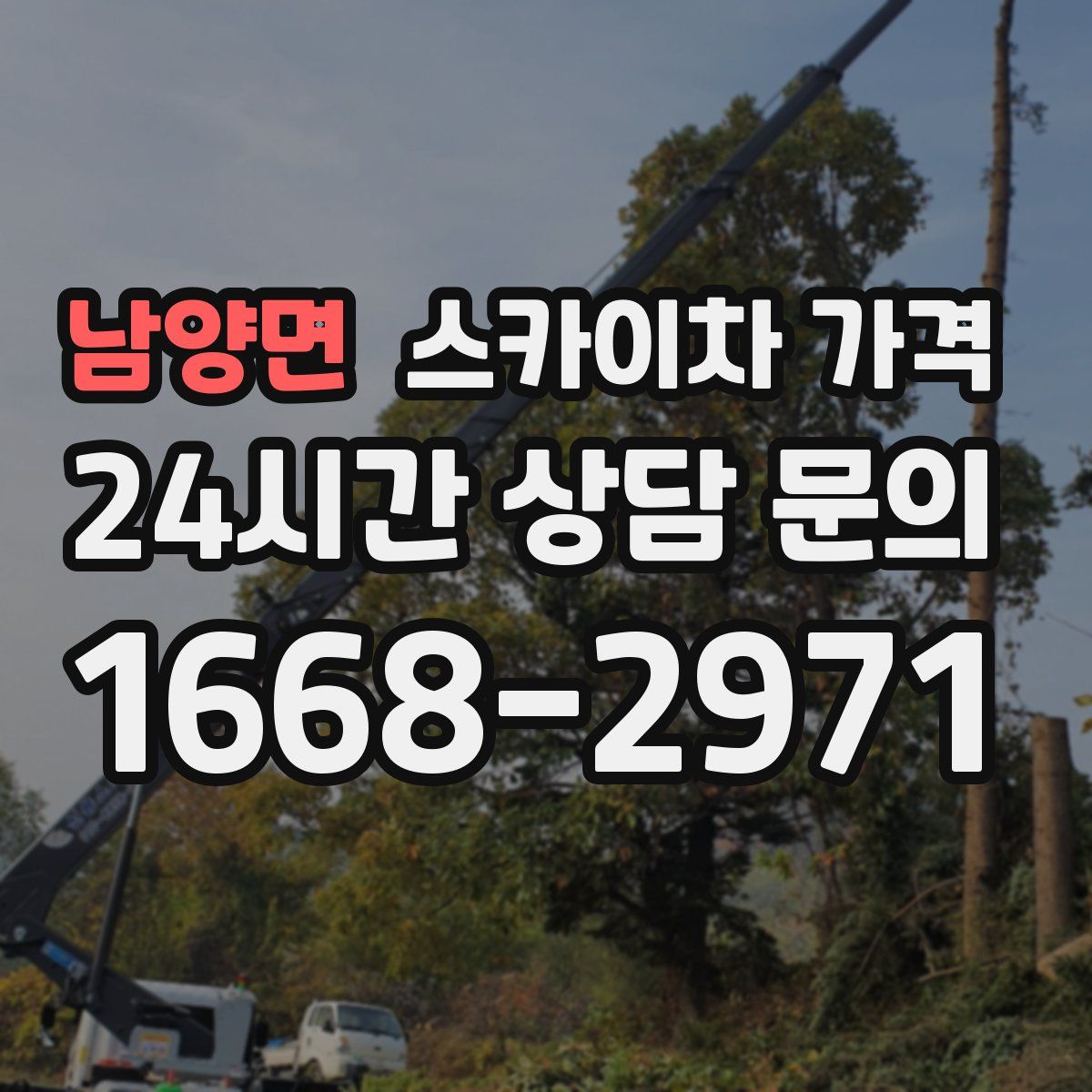 남양면 스카이차 가격