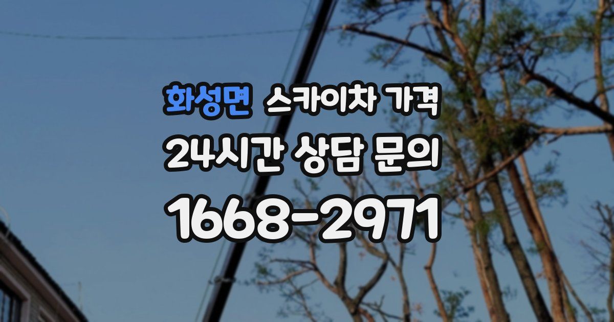 화성면 스카이차 가격