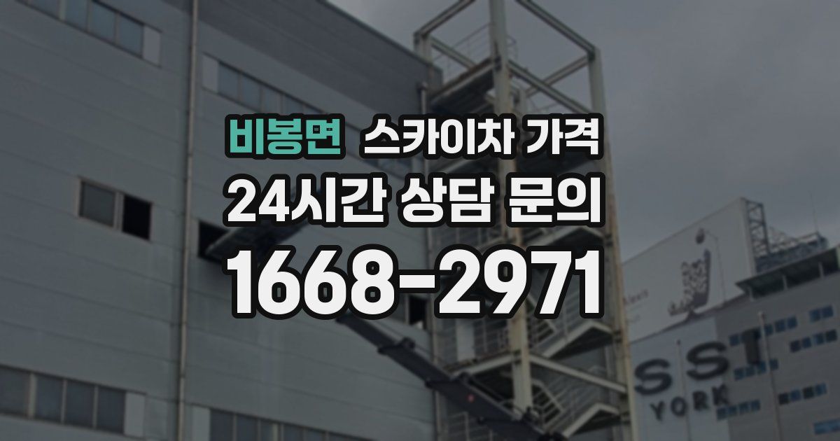 비봉면 스카이차 가격