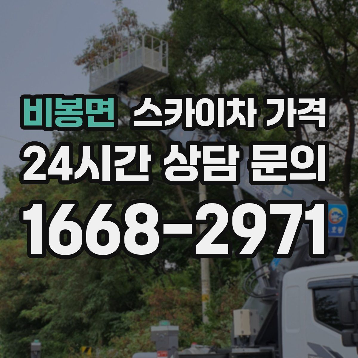 비봉면 스카이차 가격