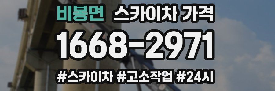 비봉면 스카이차 가격