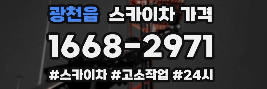 광천읍 스카이차 가격