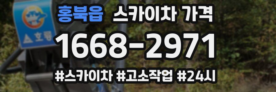홍북읍 스카이차 가격