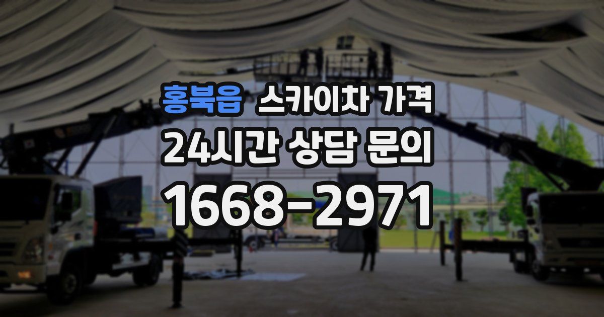 홍북읍 스카이차 가격