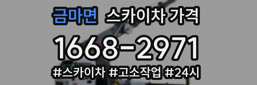 금마면 스카이차 가격