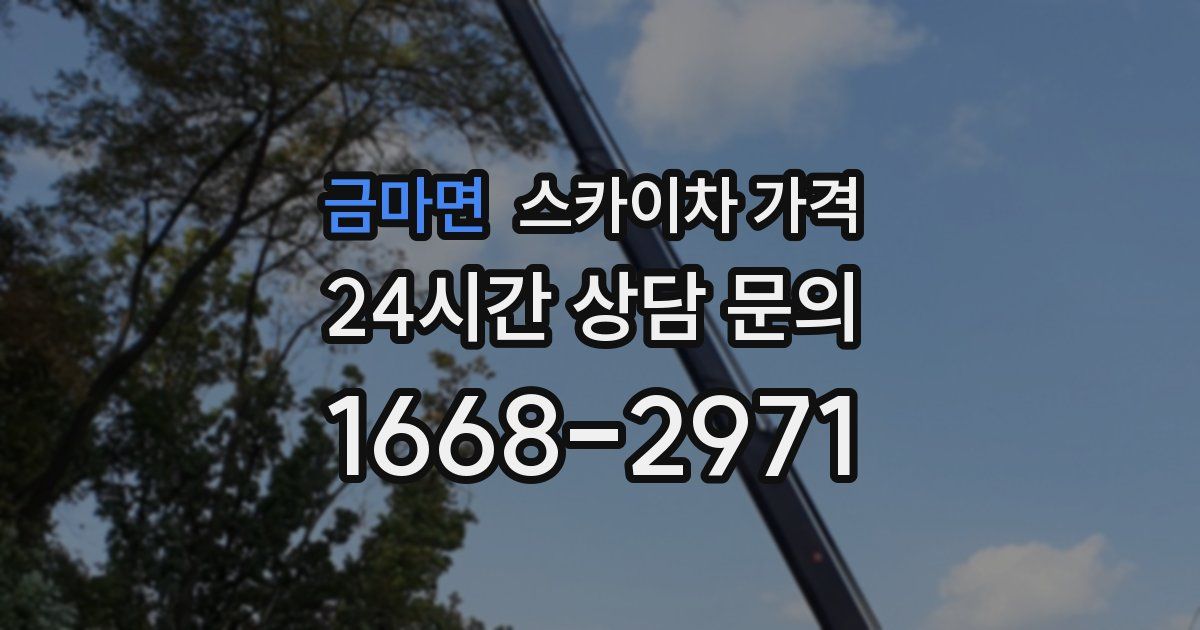금마면 스카이차 가격