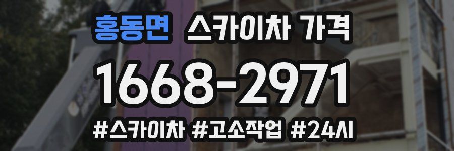 홍동면 스카이차 가격