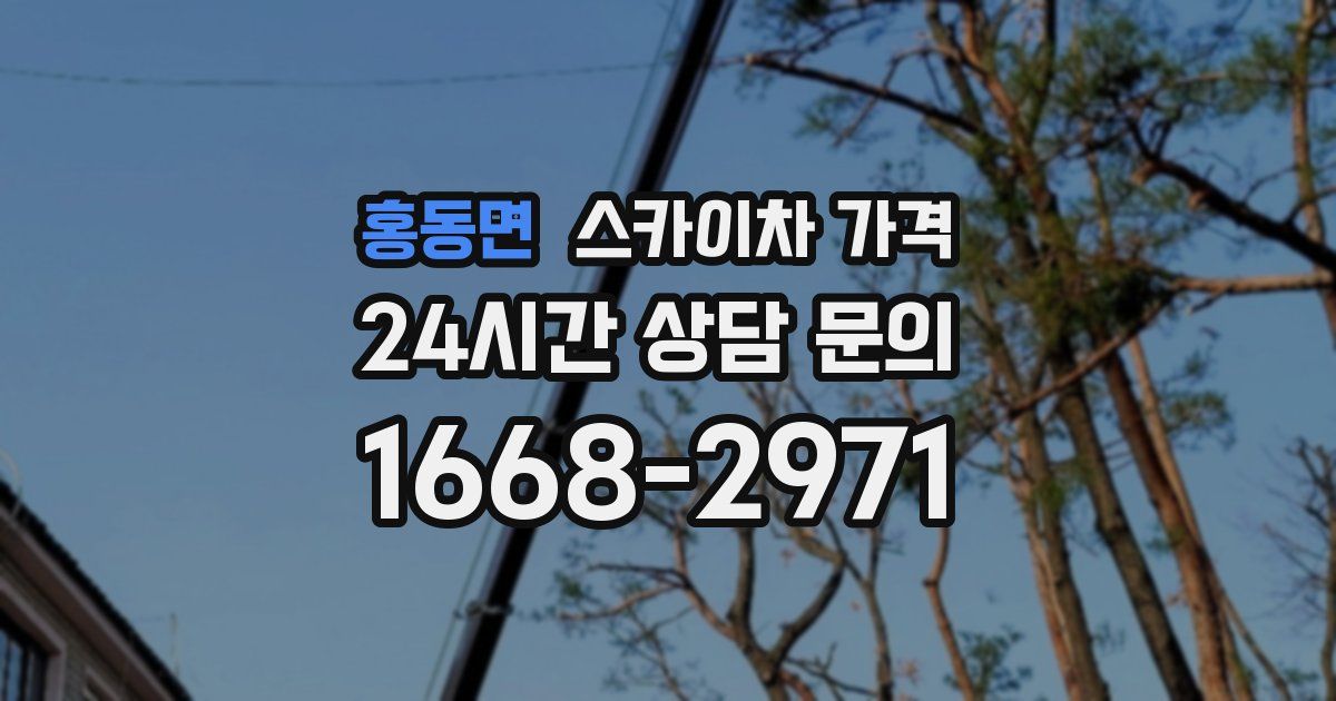 홍동면 스카이차 가격
