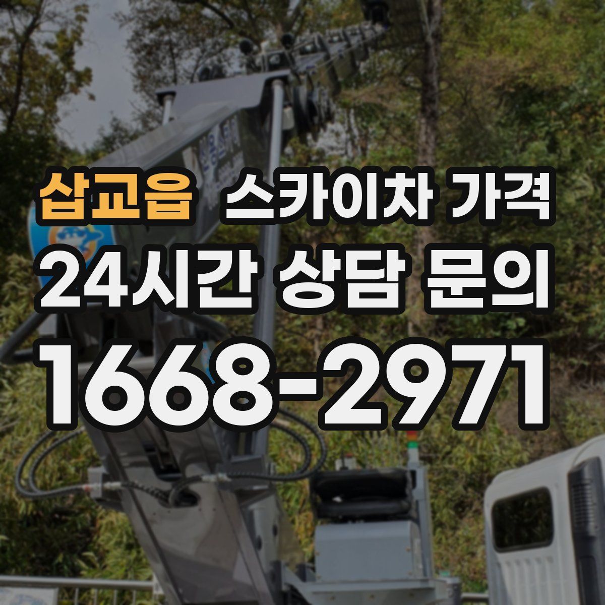 삽교읍 스카이차 가격