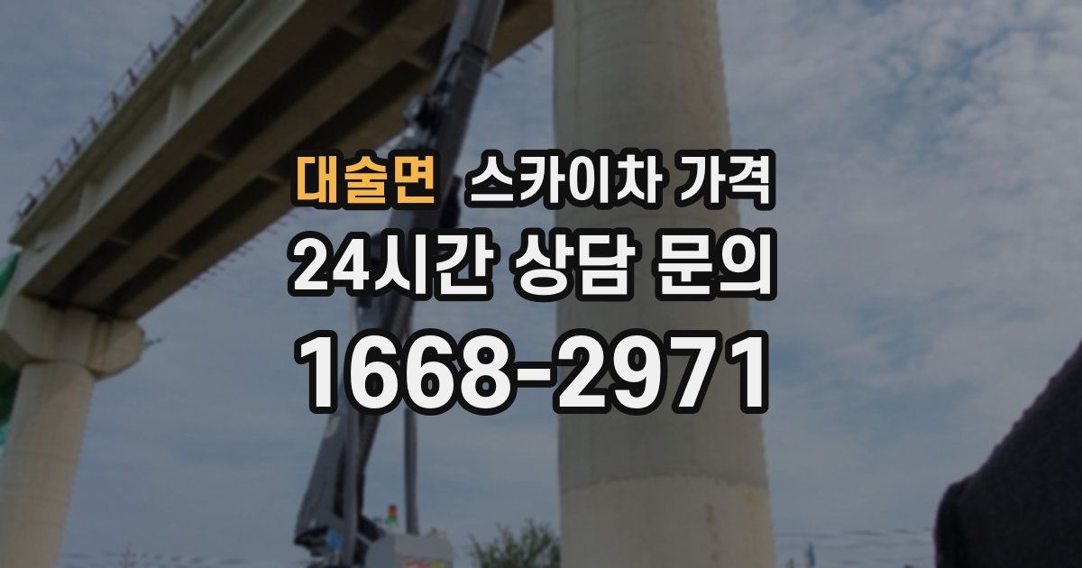 대술면 스카이차 가격