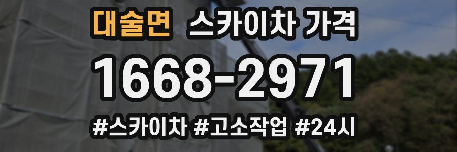 대술면 스카이차 가격