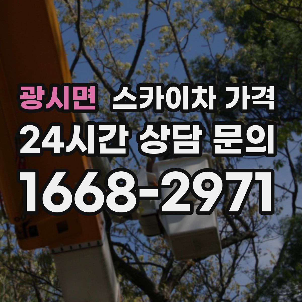 광시면 스카이차 가격