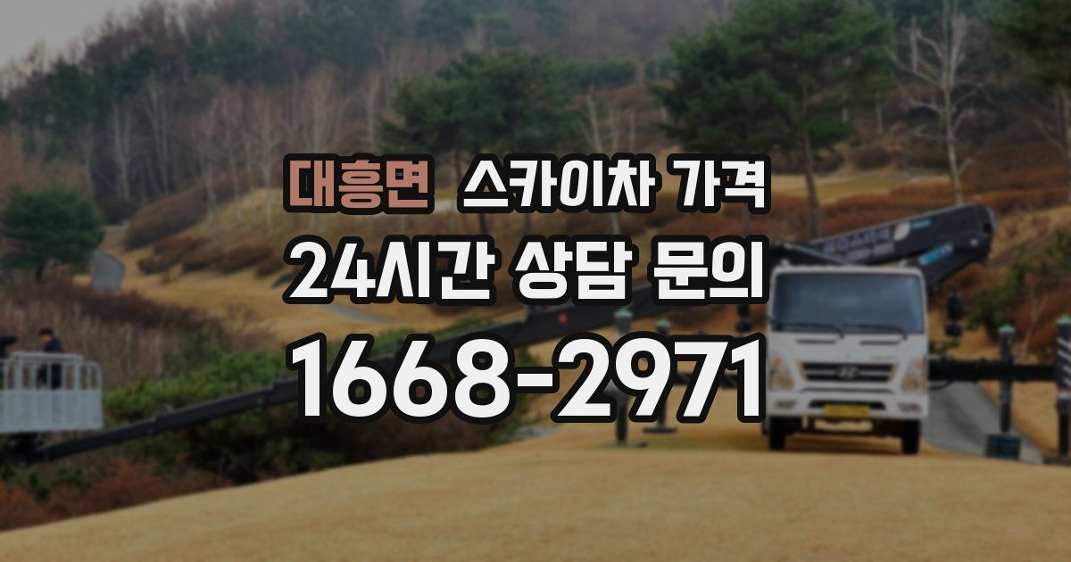 대흥면 스카이차 가격