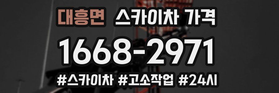 대흥면 스카이차 가격