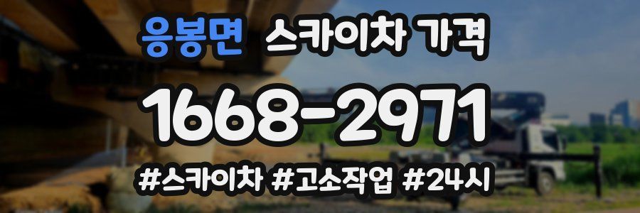 응봉면 스카이차 가격