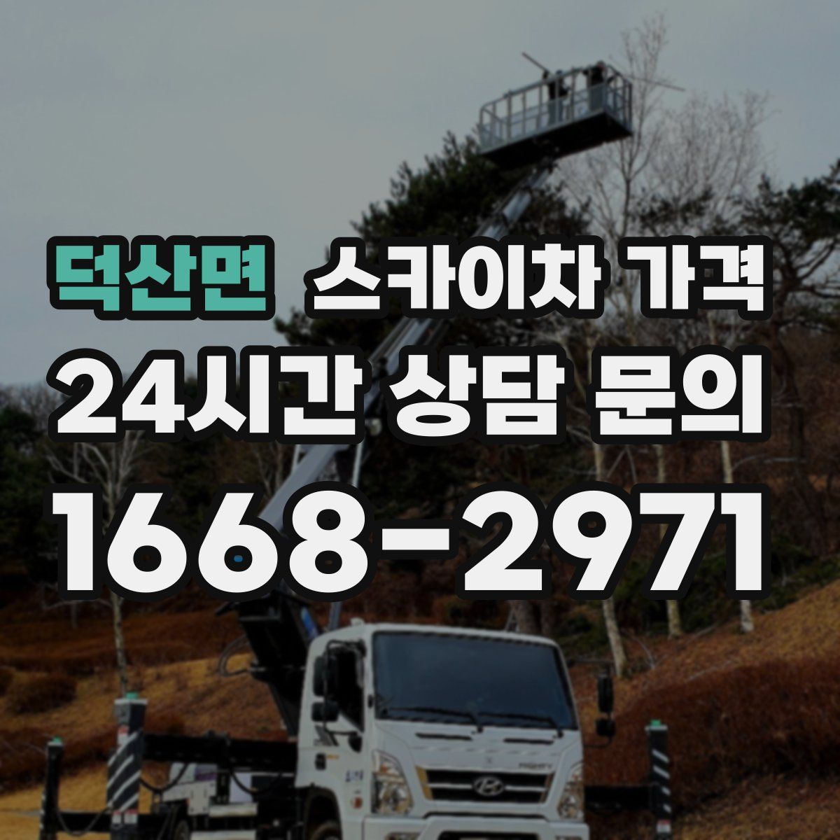 덕산면 스카이차 가격