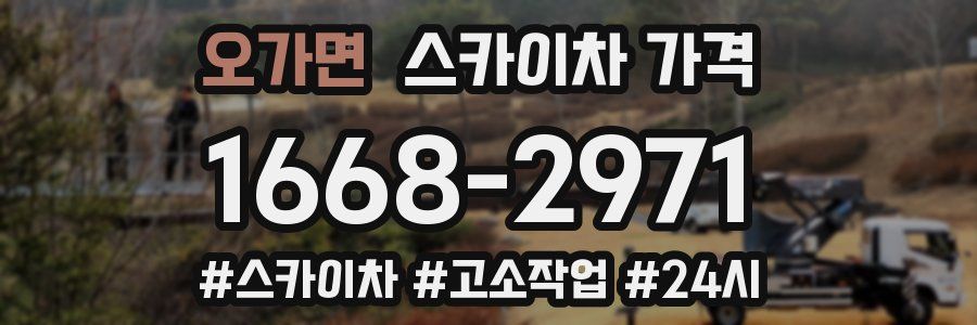 오가면 스카이차 가격