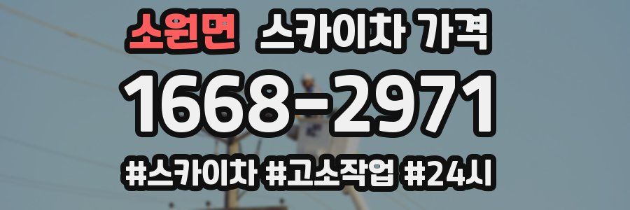 소원면 스카이차 가격