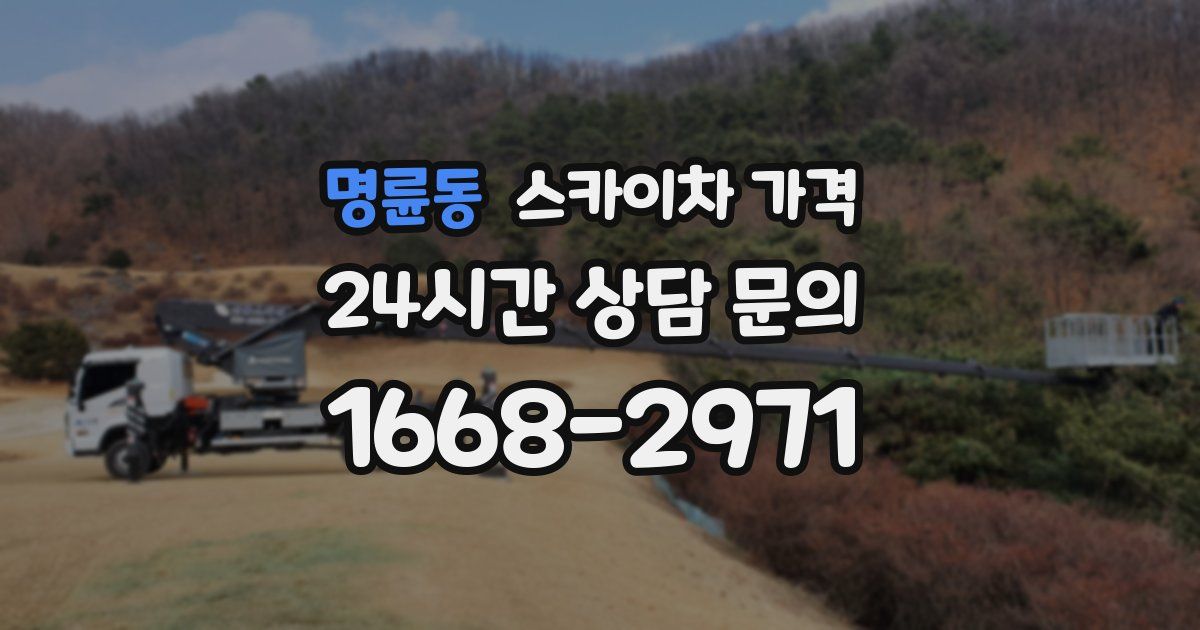 명륜동 스카이차 가격