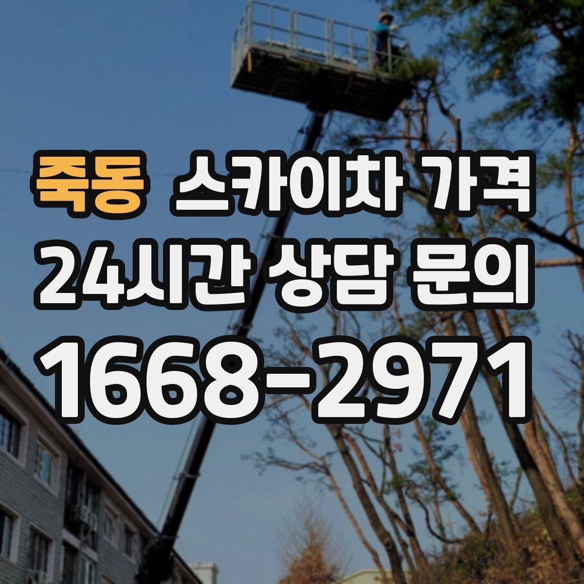 죽동 스카이차 가격 통신선 처짐 정리는 구간 수가 중요합니다