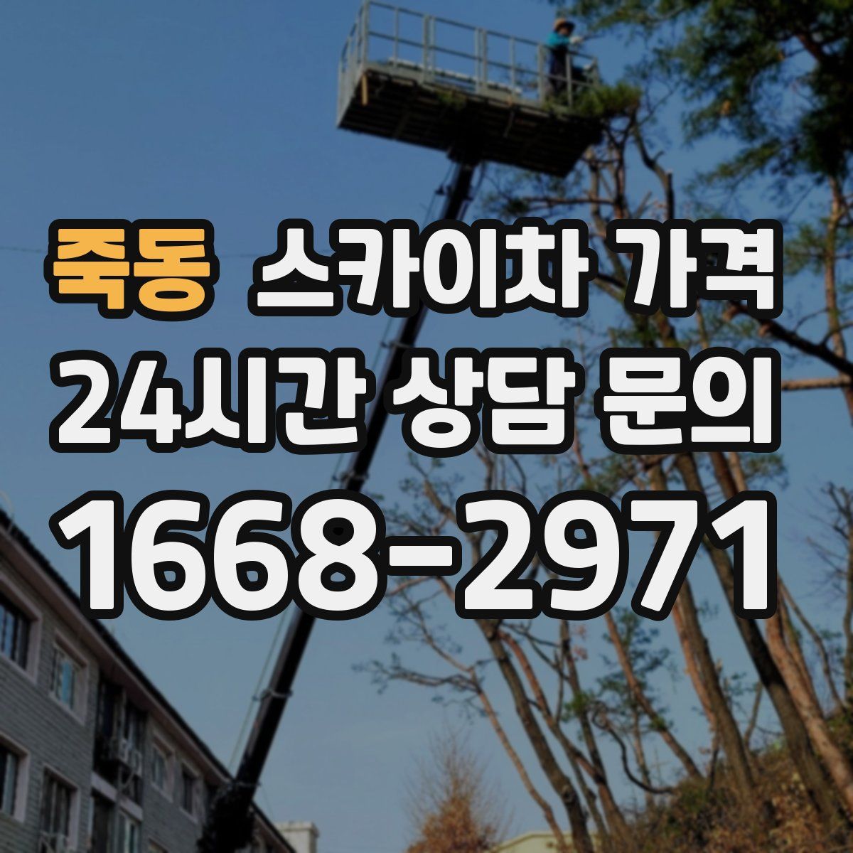 죽동 스카이차 가격