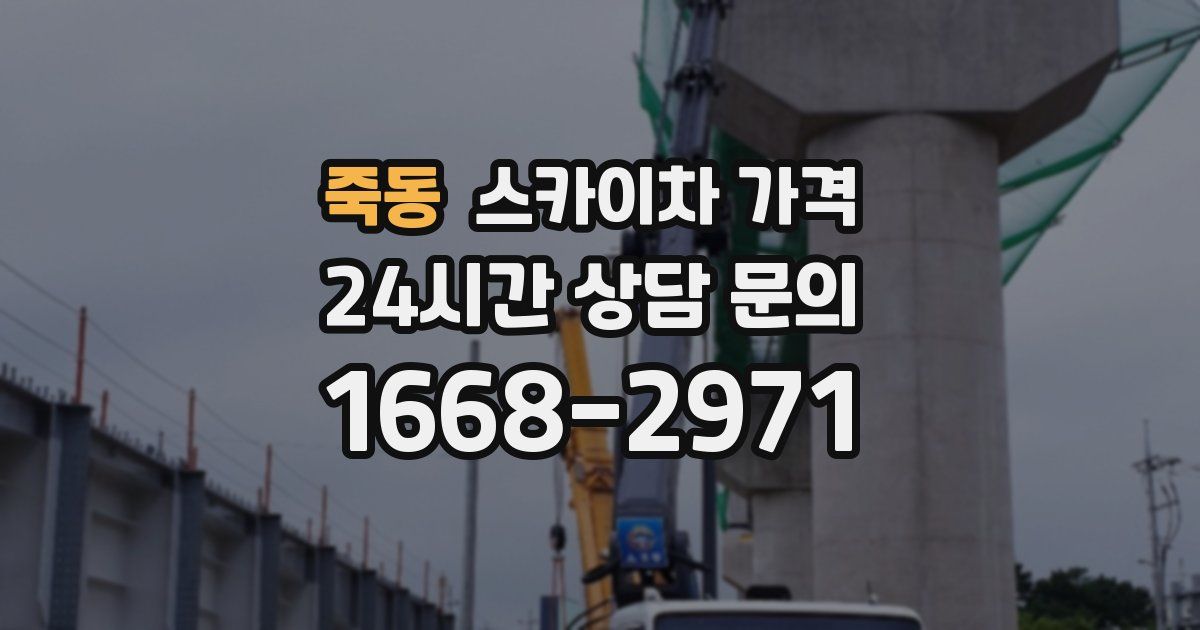 죽동 스카이차 가격