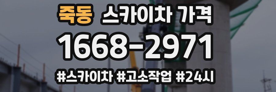 죽동 스카이차 가격