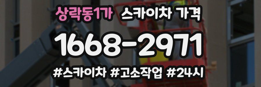 상락동1가 스카이차 가격