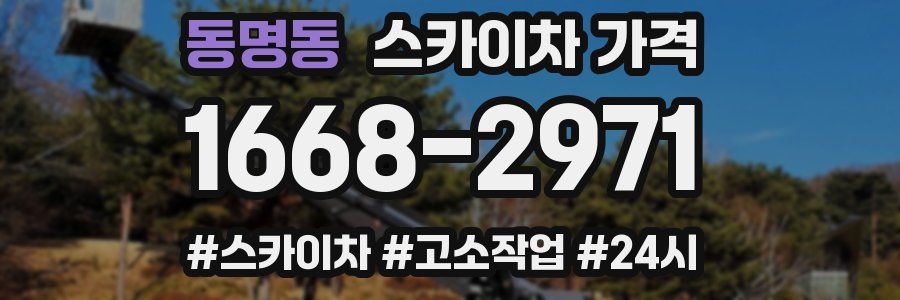 동명동 스카이차 가격