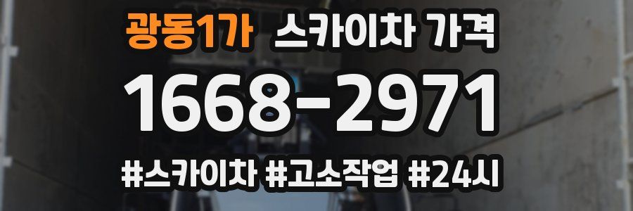 광동1가 스카이차 가격