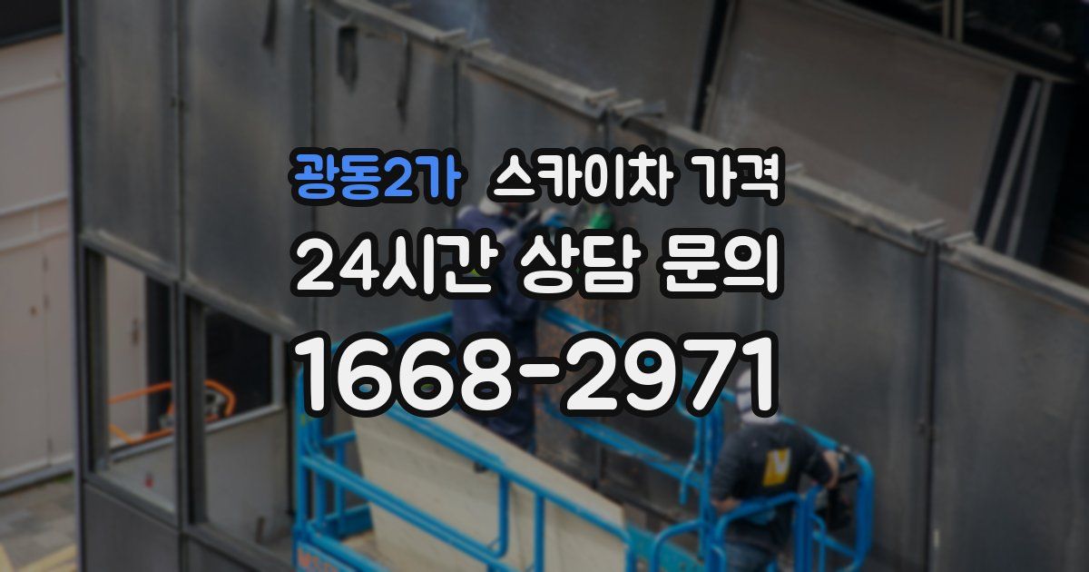 광동2가 스카이차 가격