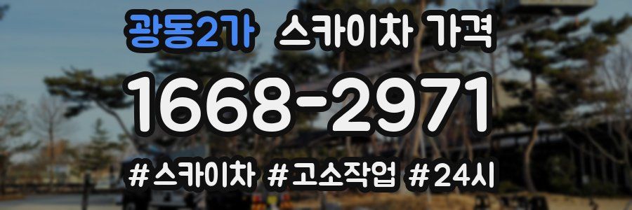 광동2가 스카이차 가격