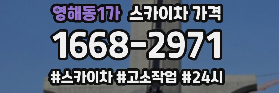 영해동1가 스카이차 가격