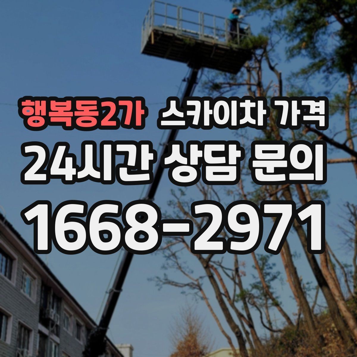 행복동2가 스카이차 가격 나무 가지치기 작업은 어떤 기준으로 볼까