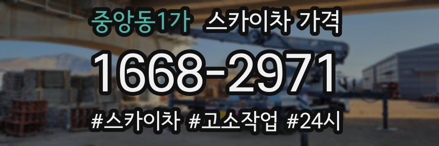 중앙동1가 스카이차 가격